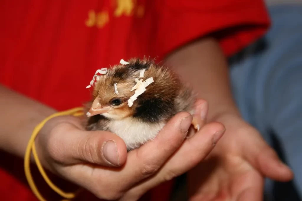 Zero Trust Security best practices checklist